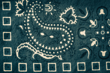 Closeup of Design on Blue Bandana