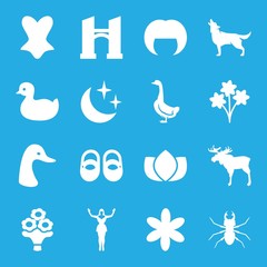 Set of 16 beautiful filled icons