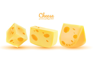 Cheese collection set, Cheese types vector, Modern style realistic vector illustration