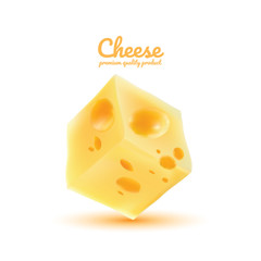 Piece of cheese isolated, Hand drawn cheese vector illustration.