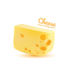 Cheese isolated, Hand drawn cheese vector illustration on white background.