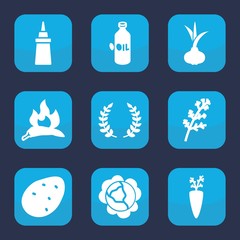 Set of 9 filled ingredient icons