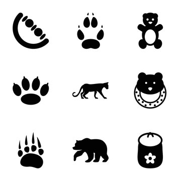 Set of 9 bear filled icons