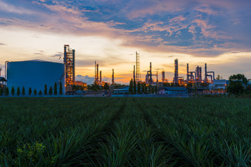 Fototapeta na wymiar Oil Refinery factory industry