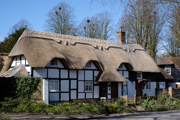 View of a Thatched cottage in Micheldever Hampshire