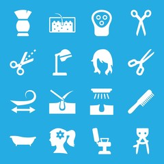 Set of 16 hair filled icons