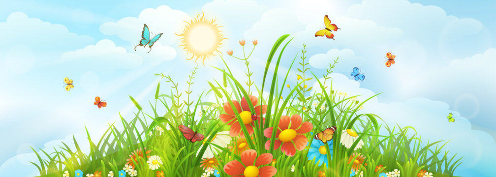 Summer and spring meadow background with green grass, flowers and sky