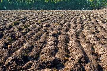 Newly ploughed field in spring time