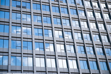 modern glass silhouettes on modern building.