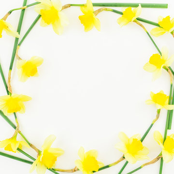 Round frame of narcissus on white background. Flat lay, top view. Floral background. 