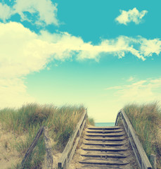 Fototapeta na wymiar Dune grass on a blue summer sky with cloud shapes
