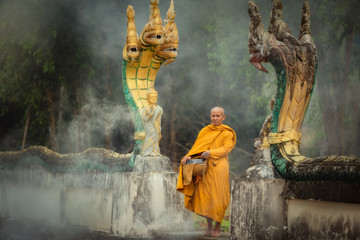 Naga Statue with Monk alms round  in the temple - obrazy, fototapety, plakaty