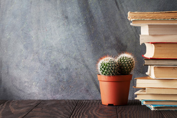 Books and cactus in front of classroom chalk board