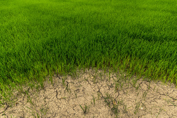 very hot summer in thailand