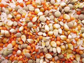 hububatlar,yakın çekim,