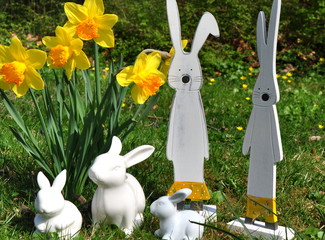 Weiße Osterhasen auf einer grünen Wiese mit leuchtend gelben Osterglocken