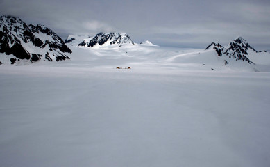 Dog Sled Camp on a Glacier in Alaska