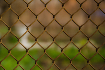 wire mesh steel with green grass background
