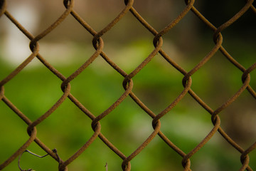 wire mesh steel with green grass background