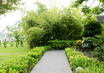 The path in the garden