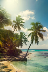 Fototapeta na wymiar Beach with coconut palm, uninhabited tropical island