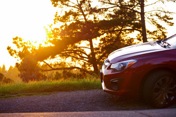 Car In Sunset Through Trees