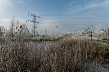 Winter view on Dutch landscape in the Flevoland provence