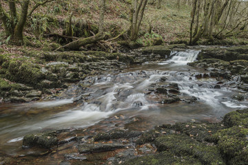 Stunning waterfall landscape in cross over between Autumn and Winter with Fall colour