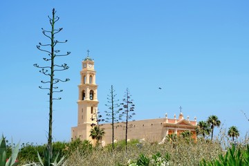 Obraz premium the Catholic Church under the bright sun