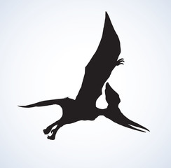 Pterodactyl. Vector drawing © Marina