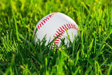 Baseball Ball on Grass Field