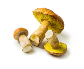 Basket with porcini mushrooms