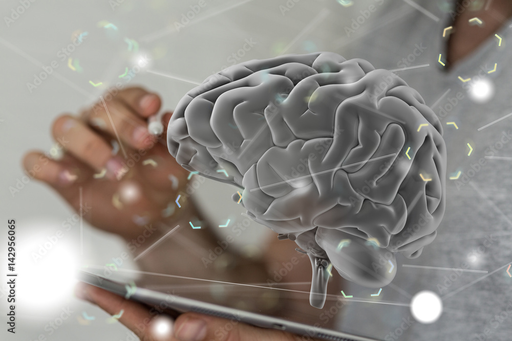 Poster brain net