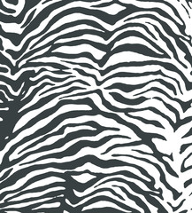 Animated background of zebra