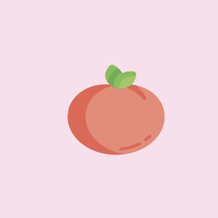 Apricot icon. flat design