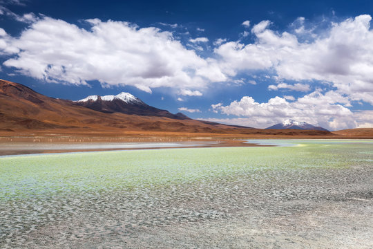 High-altitude lagoon with flamingos on the plateau Altiplano, Eduardo Avaroa Andean Fauna National Reserve, Bolivia