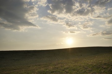 Meadow with trees and views to mountains. Slovakia