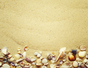 Seashells on sand. Sea summer vacation background with space for the text