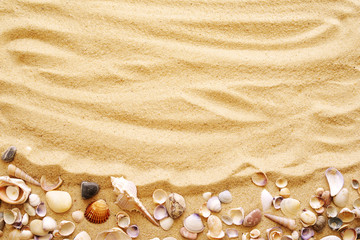 Fototapeta na wymiar Seashells on sand. Sea summer vacation background with space for the text