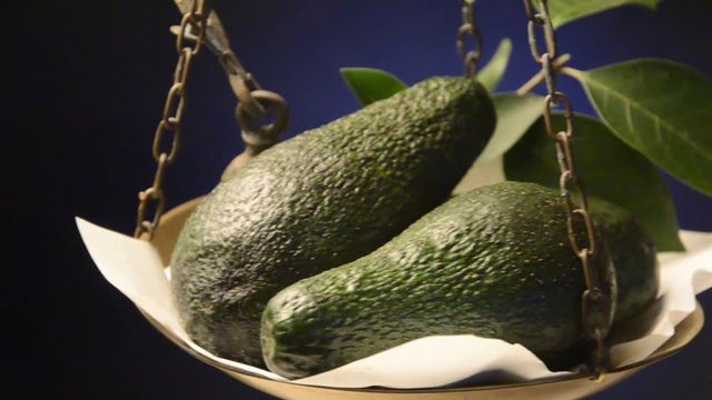 Persea americana &Alpha;&beta;&omicron;&kappa;ά&nu;&tau;&omicron; Avocado Palta Avokado Aguacate Avocatier रूचिरा אבוקדו Avok&aacute;d&oacute; Авокадо 鳄梨 อาโวคาโด