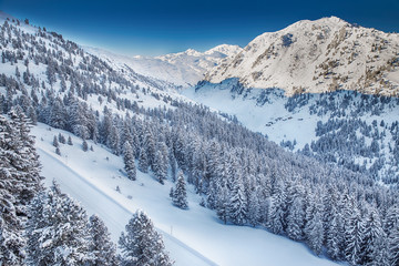 Fototapeta premium Trees and skiing slopes covered by fresh new snow in Tyrolian skiing resort Zillertal arena, Austria.