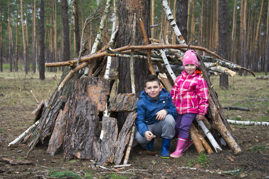 In the spring in a pine forest, a brother with a small sister built a hut of sticks.