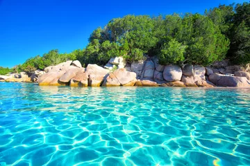 Wall murals Palombaggia beach, Corsica Sandy Palombaggia beach with pine trees and azure clear water, Corsica, France, Europe.