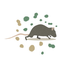 Animal rat clip art, vector
