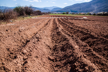 Nice and sunny day of spring sowing, plowed fields, preparation for planting vegetables