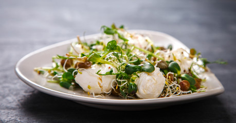 Raw Sprouts Microgreens.Fresh Green  Salad with mozzarella,cheese.Concept of Healthy Food.Copy space for Text. selective focus.