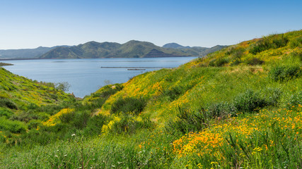 Diamond Valley Lake