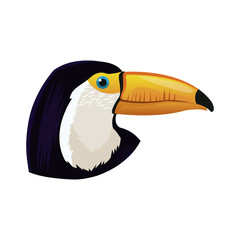 toucan bird icon over white background. colorful design. vector illustration