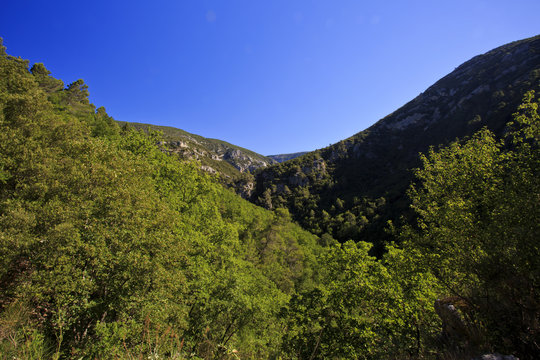 The thickly forested Gorges De Le Siagne, Callian, France