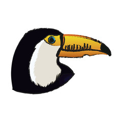 toucan bird icon over white background. vector illustration